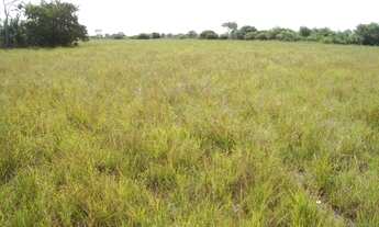 Imagem 7: Fazenda de 9200 Hectares em Luciara MT