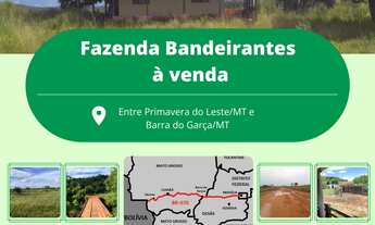 Imagem: Fazenda de 2922 Hectares General Carneiro
