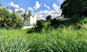 Imagem 3: 4 Lotes com 3895 m² ao total em Fernandópolis SP