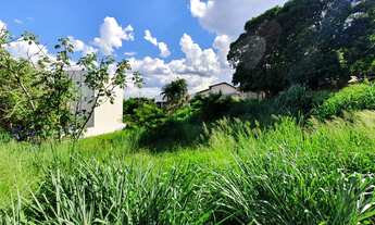 Imagem 5: 4 Lotes com 3895 m² ao total em Fernandópolis SP