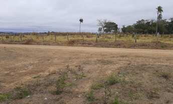 Imagem 7: Lindo Sitio com 6 Alqueires em Angatuba - SP