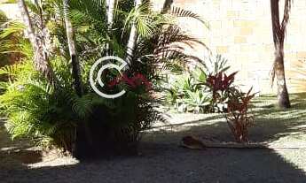 Imagem 4: Chácara com 330 m2 possui 4 quartos, 1 suíte, piscina, churrasqueira, poço artesiano, 5 va