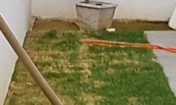 Imagem 6: Casa com 3 suítes, sendo 1 master, 180 m2, piscina 6 x 3, 4 vagas de garagem, espaço gourm