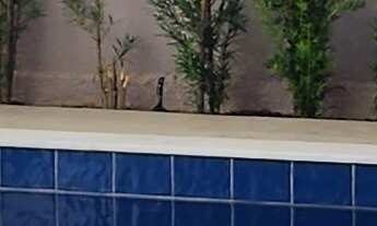 Imagem: Lindo sobrado com 3 suítes, 232 m2, piscina