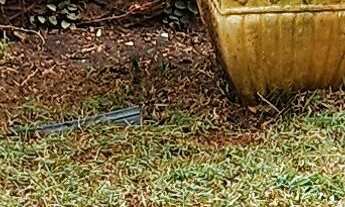 Imagem 6: Sobrado com 3 dormitórios, sendo 1 suíte, lavabo, churrasqueira, 2 vagas de garagem