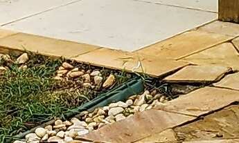 Imagem 5: Sobrado com 3 dormitórios, sendo 1 suíte, lavabo, churrasqueira, 2 vagas de garagem