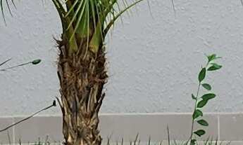 Imagem 2: Casa com 3 dormitórios, sendo 1 suíte, 112 m2, 2 vagas cobertas, infra para ar condicionad