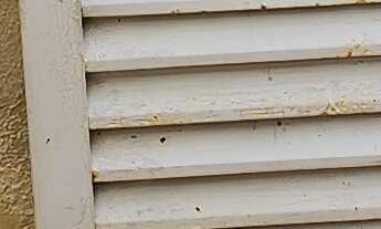 Imagem 3: Sobrado com 3 dormitórios, sendo 1 suíte, lavabo, churrasqueira, 2 vagas de garagem