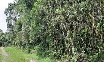Imagem: TERRENO RESIDENCIAL em ITANHAÉM - SP, Chácaras