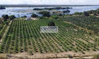 Imagem: CHACARA RURAL em SOBRADINHO - BA, Sobradinho