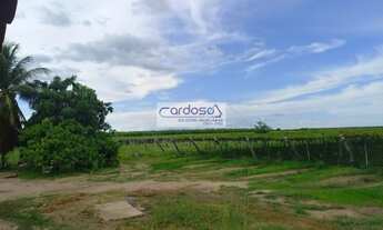 Imagem 3: Fazenda a Venda no bairro Vermelho - Petrolina, PE