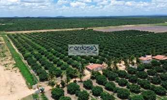 Imagem 4: Fazenda a Venda no bairro Juazeiro - Juazeiro, BA