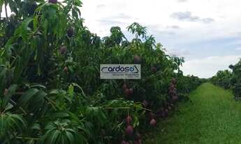 Imagem 4: Fazenda a Venda no bairro Vermelho - Petrolina, PE