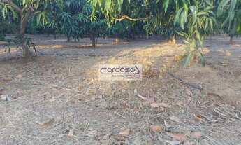 Imagem 2: CHACARA RURAL em SOBRADINHO - BA, Sobradinho