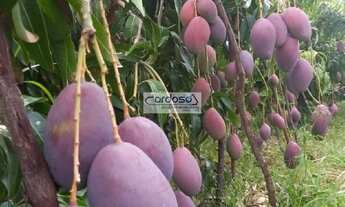 Imagem 5: Fazenda a Venda no bairro Vermelho - Petrolina, PE