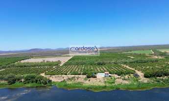 Imagem: Fazenda a Venda no bairro Vermelhos - Lagoa