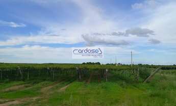 Imagem: Fazenda a Venda no bairro Vermelho - Petrolina