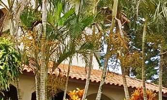 Imagem: Casa 410m² à Venda