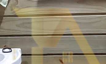 Imagem 4: Casa 75m² à Venda