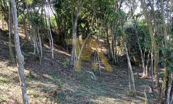 Imagem 6: Sítio com mais de 2 hectares a venda em Itapeva Imaruí