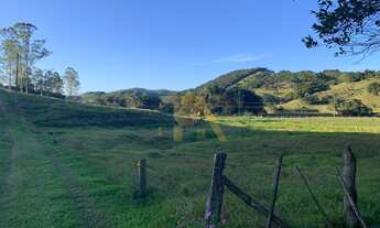 Imagem 4: Sítio amplo com 9 hectares escriturado