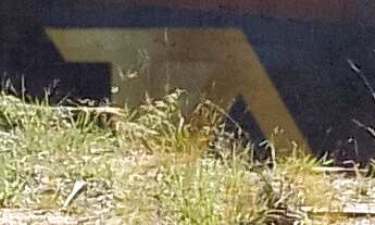 Imagem: 244M² de Área Total na Rua Da Reserva