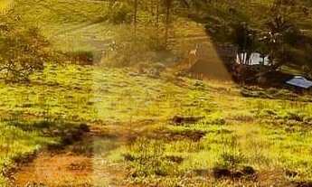 Imagem: Imóvel à venda Sítio de 43.000m2