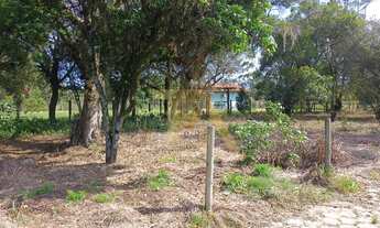 Imagem: Terreno de 300m² com Luz e IPTU