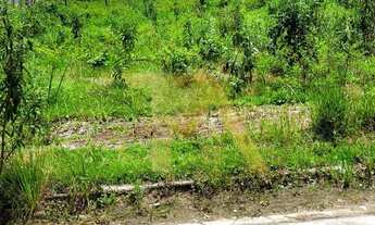 Imagem 5: Lote com 359,98 m² e Face Norte