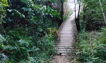 Imagem 7: Terreno com 715 m² a 100 m da Lagoa