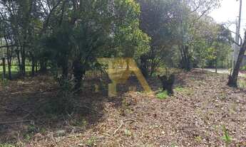 Imagem 2: Terreno de 300m² com Luz e IPTU