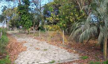 Imagem 3: Terreno de 300m² com Luz e IPTU