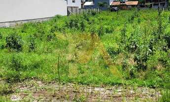 Imagem 6: Lote com 359,98 m² e Face Norte