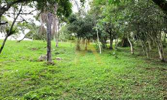 Imagem 4: Terreno à venda em Garopaba-SC, bairro Morrinhos, 560,67m² de área, com vista para o mar!