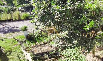 Imagem 4: Imperdível! Casa à venda em Imbituba-SC, bairro Campo Duna: 2 quartos, 1 suíte, 1 sala, 2