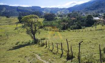 Imagem: Viva a essência da natureza no Villa Nature