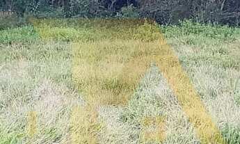 Imagem 3: Terreno com 1100m², topografia pronta e viabilidade