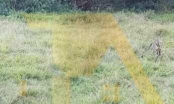 Imagem 5: Terreno com 1100m², topografia pronta e viabilidade