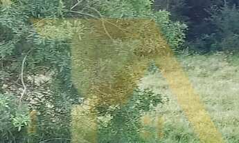 Imagem 1: Terreno com 1100m², topografia pronta e viabilidade