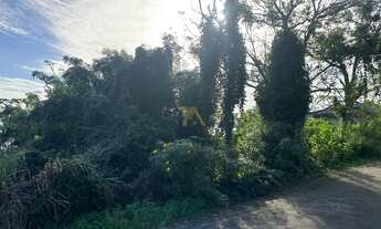 Imagem 6: Terreno amplo com mais de dois mil metros quadrados em região valorizada de Imaruí, com vi