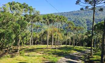 Imagem: Sitio à venda em Urubici-SC, Bairro Santa
