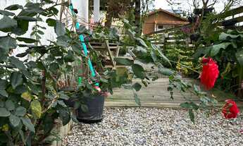 Imagem 7: Casa à Venda em Garopaba-SC: 3 Quartos, 1 Suíte, 124,47m² no Bairro Areias da Palhocinha