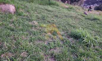 Imagem 5: Terreno à venda em Ribeirão Grande, Paulo Lopes/SC: 600m² com vista para Lagoa do Coração