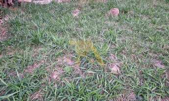 Imagem 4: Terreno à venda em Ribeirão Grande, Paulo Lopes/SC: 600m² com vista para Lagoa do Coração