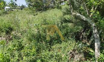 Imagem 4: Terreno à venda na Ibiraquera de 318m²