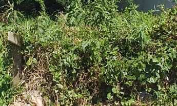 Imagem: 1 dormitório na Rua Bernardino Fermino