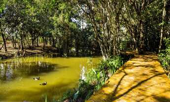 Imagem 5: Apartamento de luxo moibliado e decorado a venda em itajai santa catarina bairro praia bra