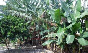 Imagem 3: Chacara em itapema bairro sertao do trombudo com 3.777 m², chacara barbada em itapema, ter