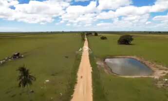 Imagem 3: Fazenda Agropecuária em Pontal do Ipiranga com 110 Alqueires 17 mantas com Água