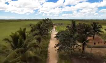 Imagem: Fazenda Agropecuária em Pontal do Ipiranga